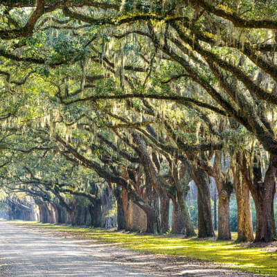 Meersman, Nadine Nadine Meersman